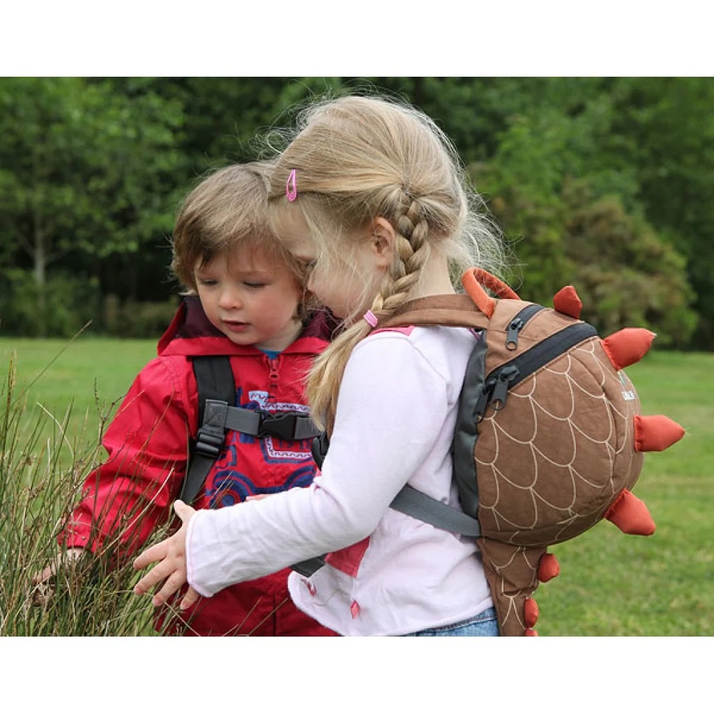 Backpack for kids Littlelife Toddler Dino