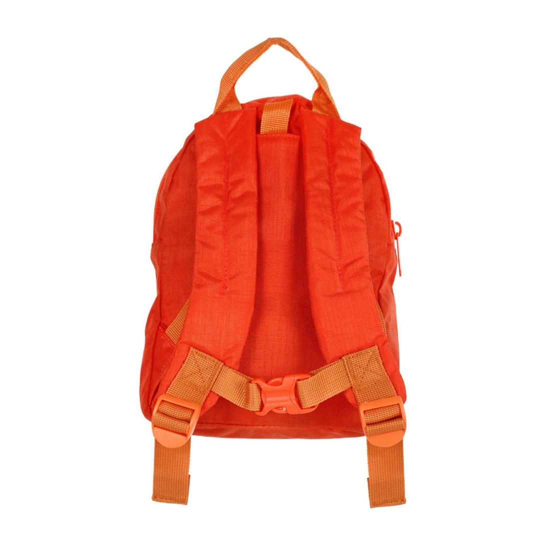 Toddler backpack LittleLife Face Lion