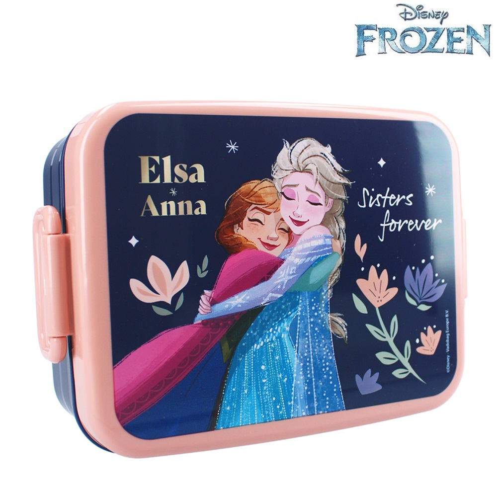 Lunch box for kids Frozen Lunch Bunch