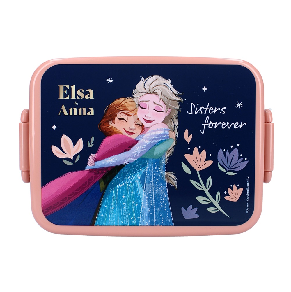 Lunch box for kids Frozen Lunch Bunch