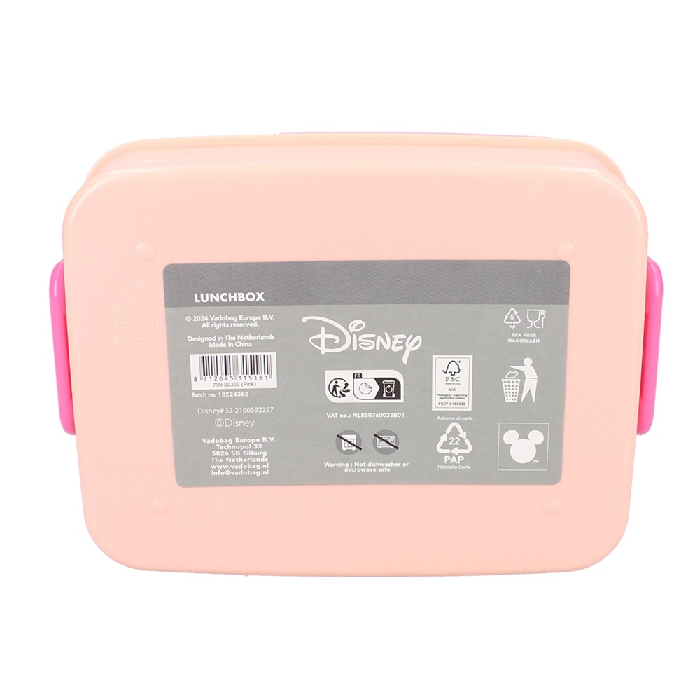 Lunch box for kids Minnie Mouse Lunch Bunch