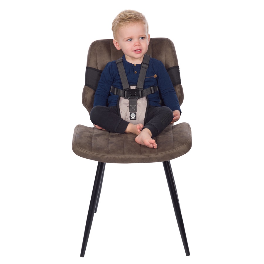 Travel high chair Dooky Beige Leaves