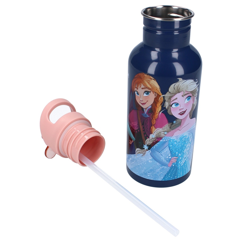 Water bottle for kids Frozen Take A Sip