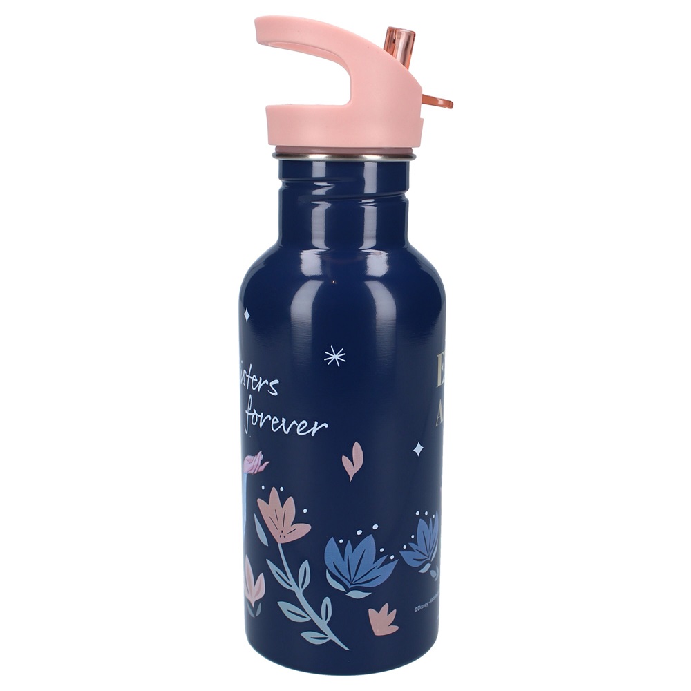 Water bottle for kids Frozen Take A Sip