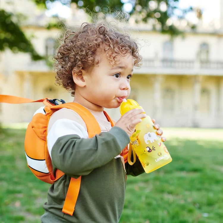 Water Bottle for Kids - LittleLife Safari